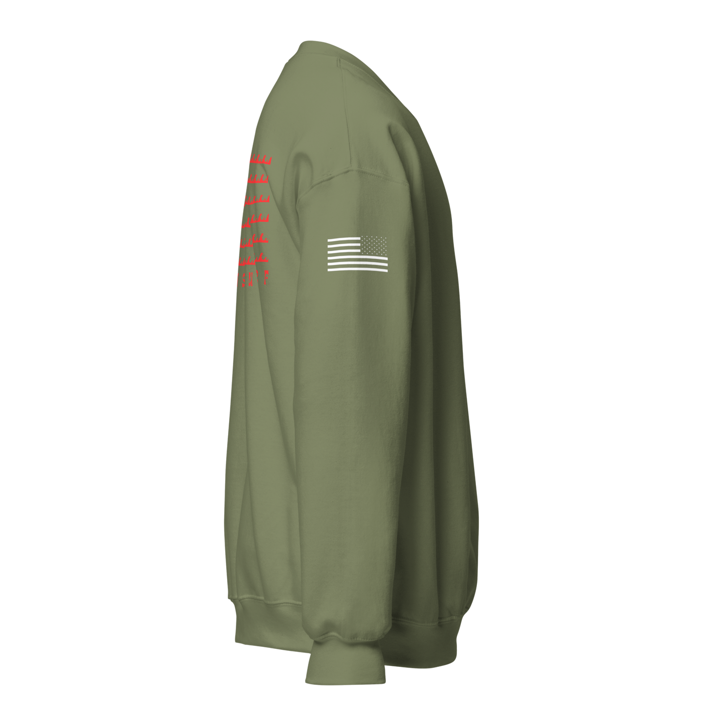 FS wave flag crewneck